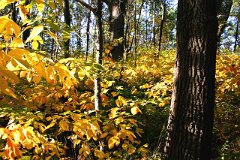 photo 0146